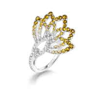 Garrard-Lotus-Jewellery-Collection-Lotus-Flower-Yellow-Sapphire-and-and-Diamond-Ring-in-18K-White-Gold